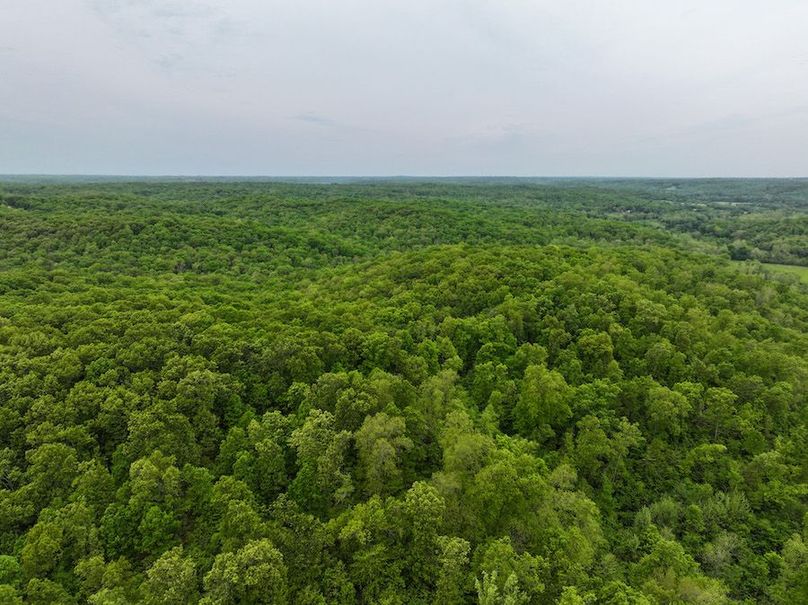 5(1)