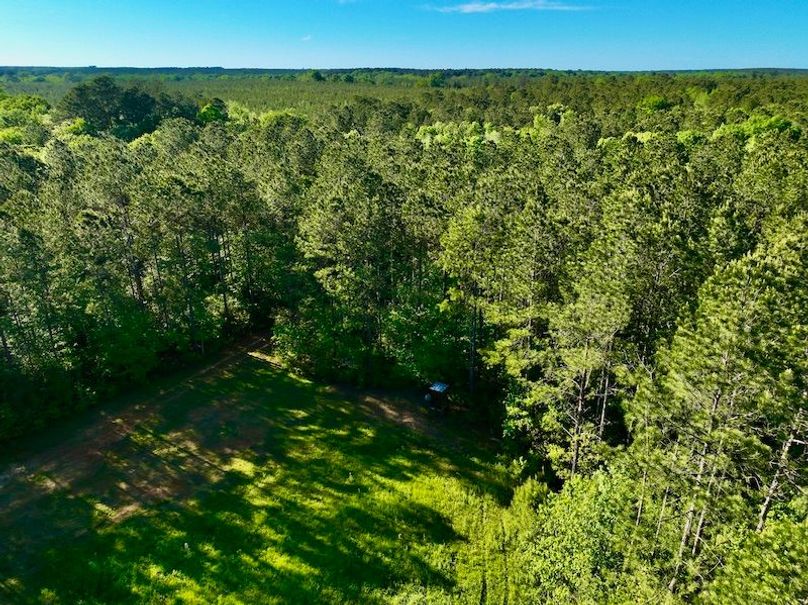 55525F0C-B599-4F97-9877-36D2E6E4C72F_1_201_a