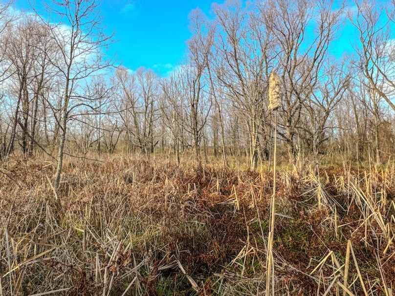 Monroe 80 Driver Dixon (Final Frontier) -03