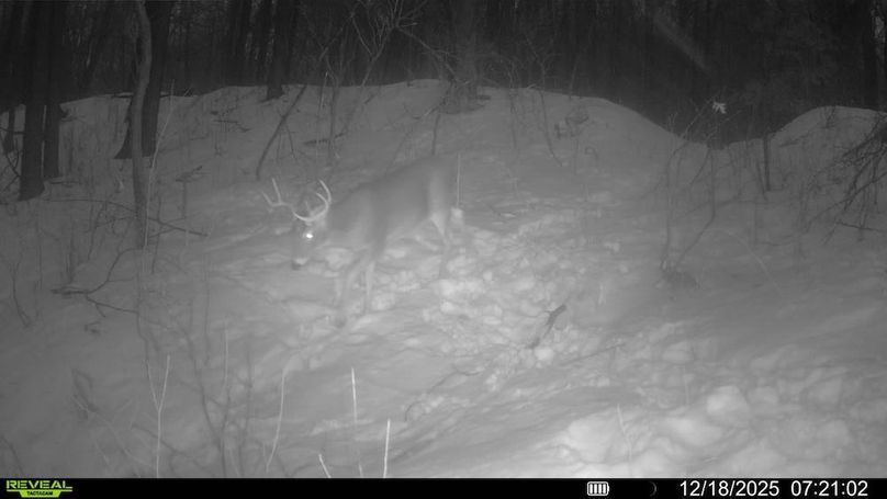 016579001605604-100-4-12182025072102-SYFW04026