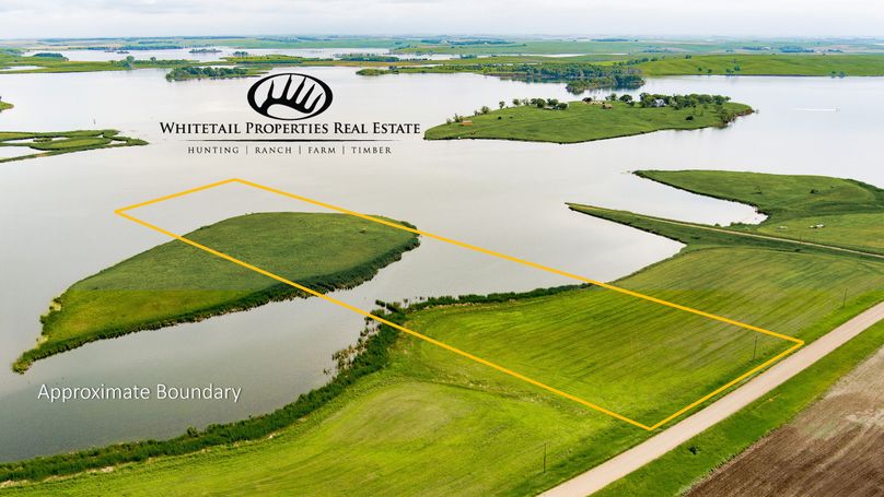 1. approximate boundary mallard