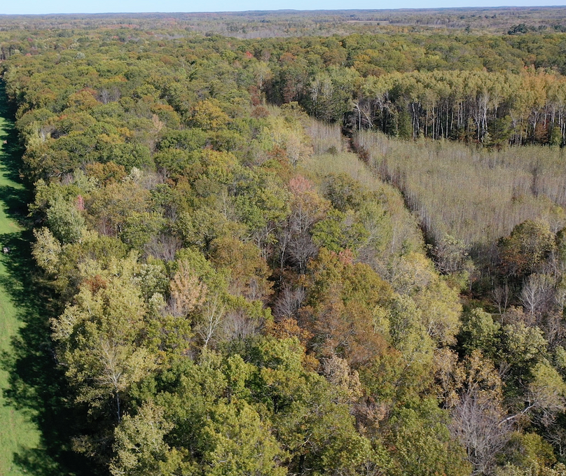 Crow Wing Co MN     Parcel A & B