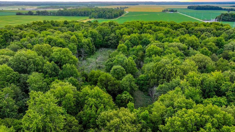 DJI_20240821070020_0006_D