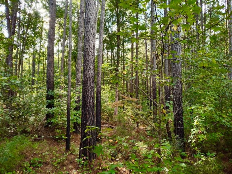 IMG_20250914_165106892