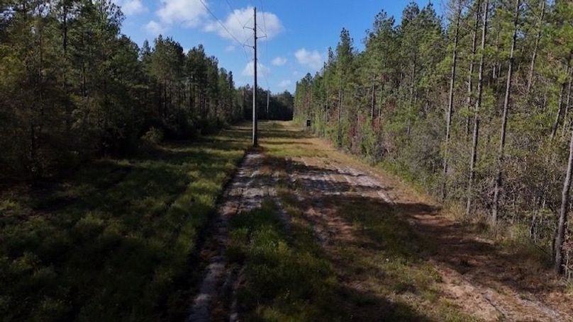 DJI_20231026101332_0006_D