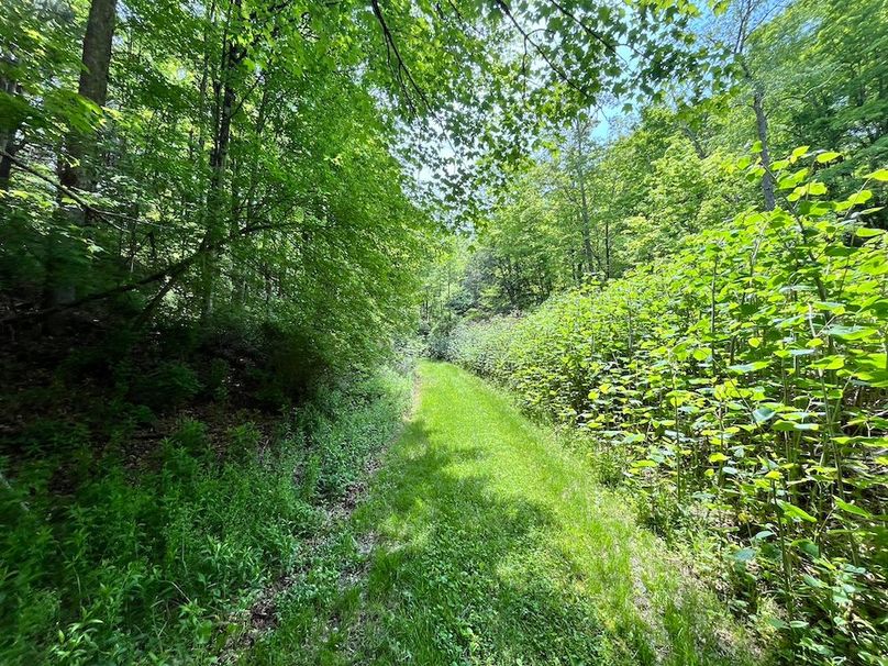 Tioga_78_Biada_Photos_103