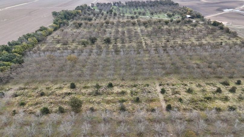 dji_fly_20251107_043244_0041_1762484032444_photo