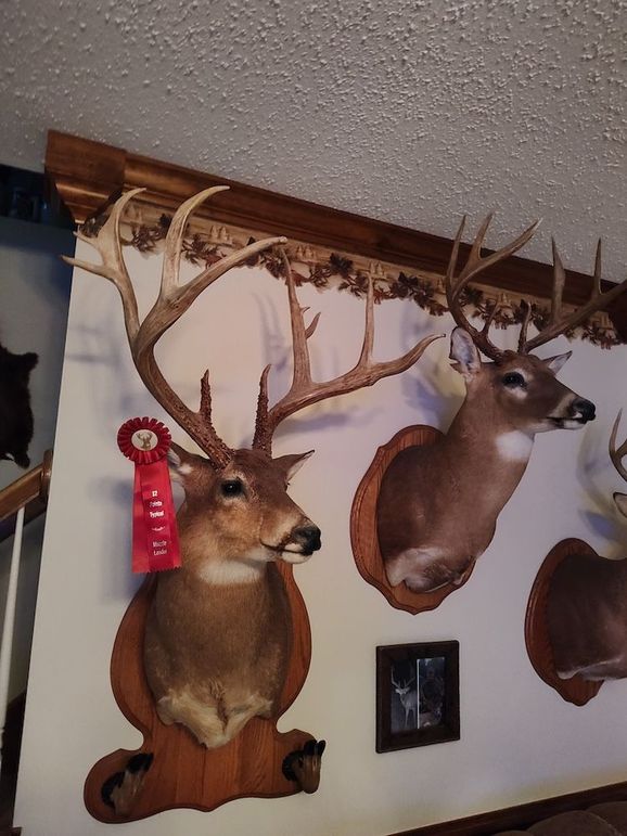 IMG_20250611_204049377