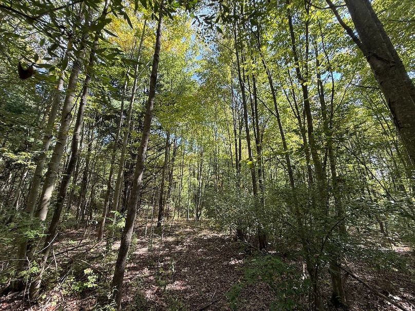 Chemung_20.82_Meyers Photo 26