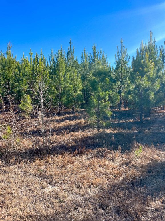 Pender NC 382 - Edits-53