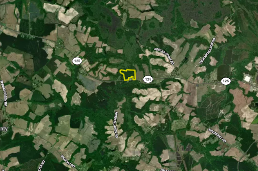 Martin Co, NC 32 - Lake Phelps Timber Zoom Out