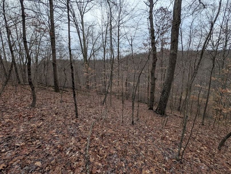 PXL_20260107_212944168.MP