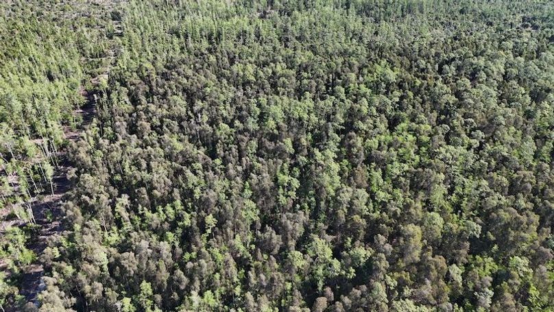 DJI_20260422092444_0500_D