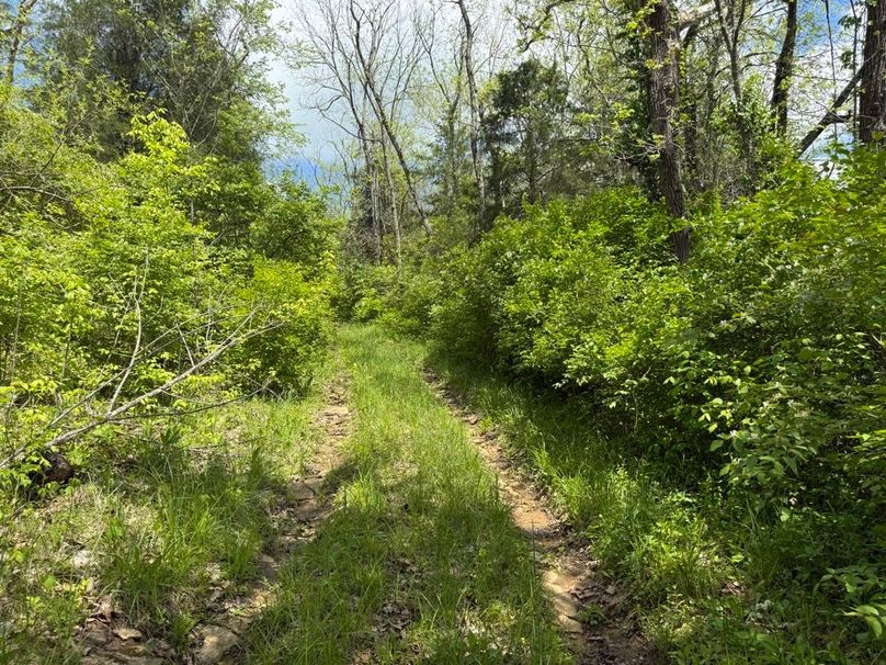 009 some of the roads leading from field to field