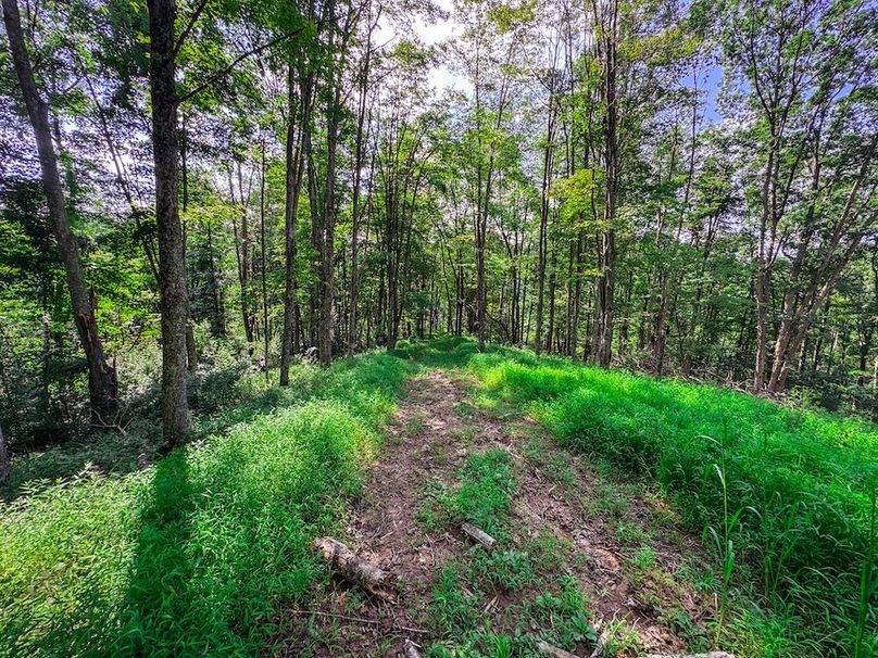 Lewis, WV 105 AC Miller-74