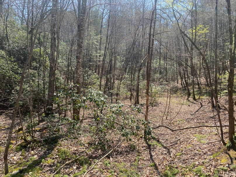 Cherokee 69.74 Stiles-10