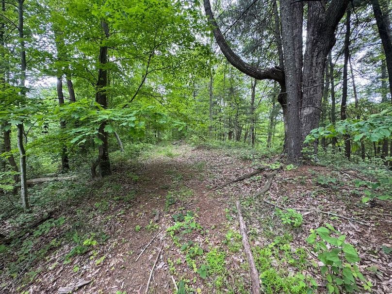 Pleasants, WV 168.59 AC Superior, Swank, Young-097