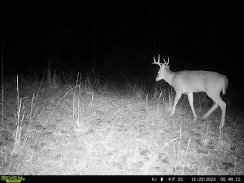 021e7738-578f-4603-90f6-099d5a60e143