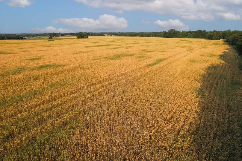 Lamar County- 92.66 Acres (19 of 29)