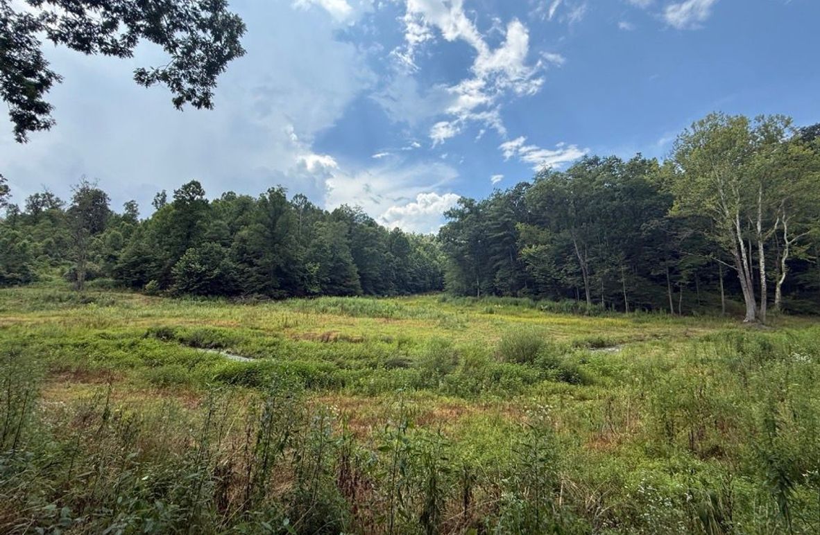 002 open field area in the north part of the property
