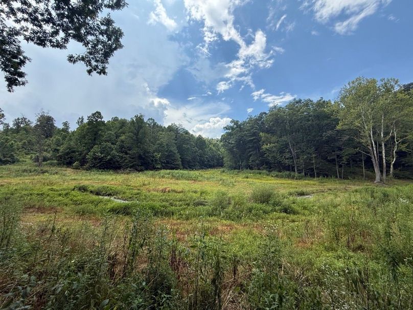 002 open field area in the north part of the property