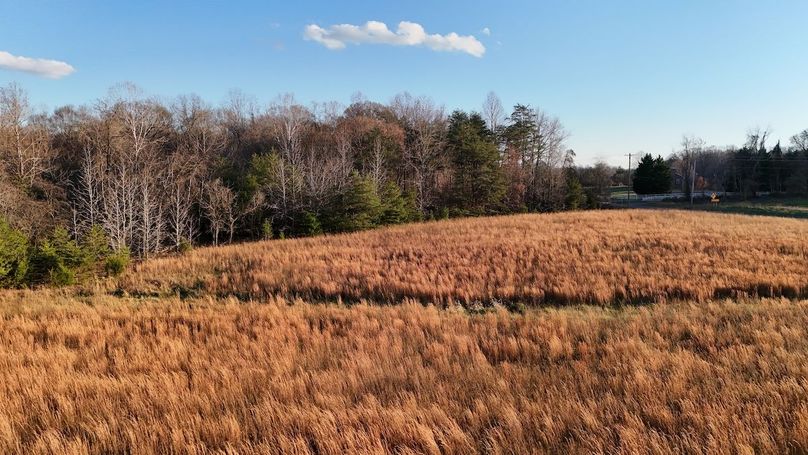 20_dji_fly_20251126_154836_0094_1764525901907_photo