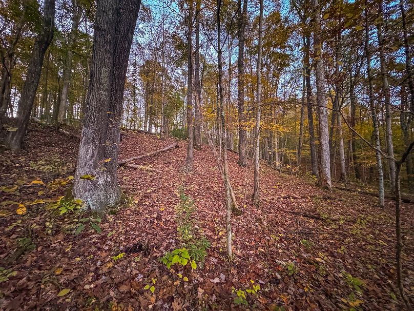 Wirt, WV 43 AC Berry-11