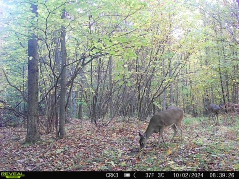 860322064941658-100-3-10022024113502-HD-SYFW0074