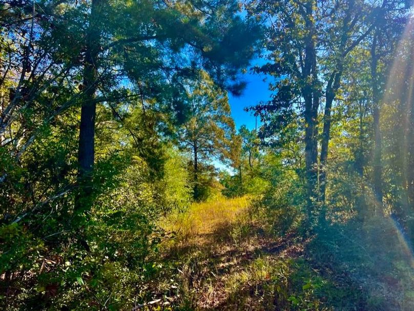 87D6ECAD-1F40-4140-8F3B-38CD874F4F42_1_105_c