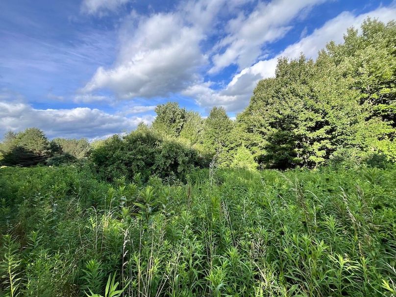 Chemung_78.26+Gutchess_Lumber_Photos_8