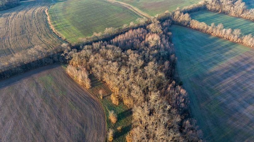 DJI_20260309075652_0006_D