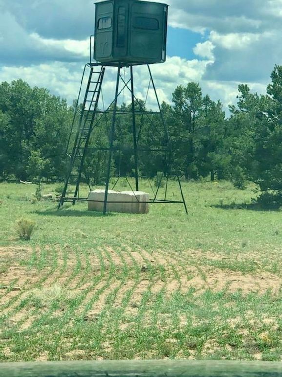 8.1_Pratt West Stand