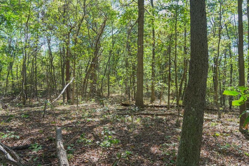 Fayette, 199, Hostetler-41