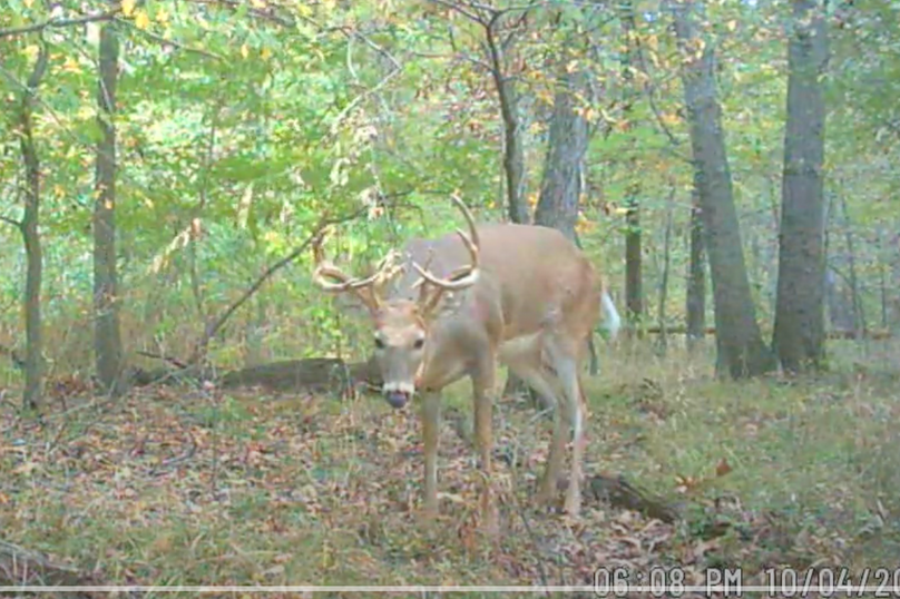 Screen Shot 2024-01-22 at 6.05.42 AM