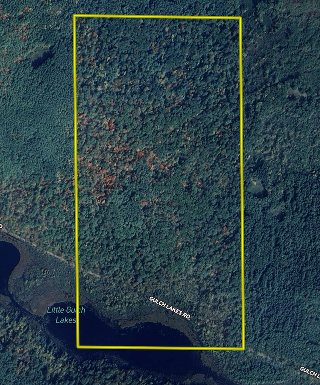 Screen Shot 2025-11-07 at 8.11.02 PM