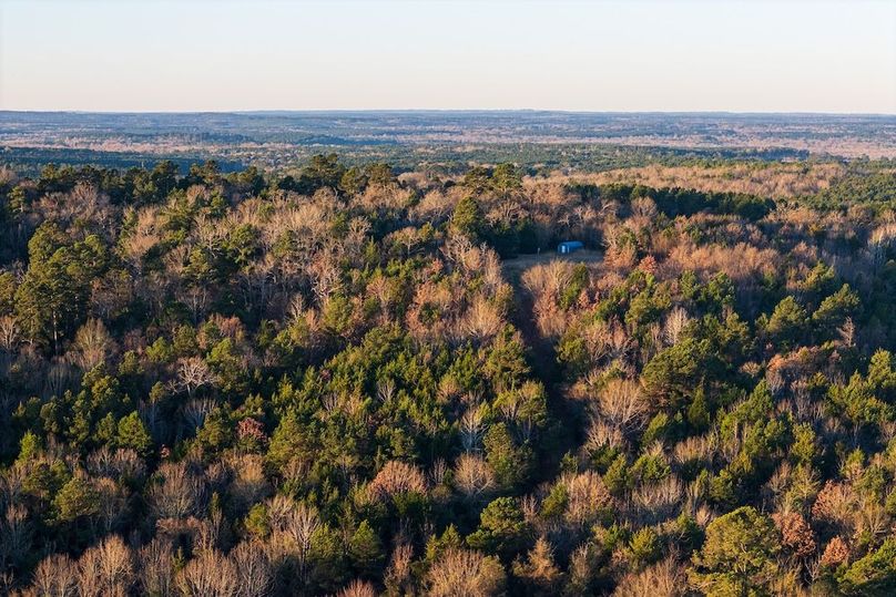 DJI_20260116075103_0009_D