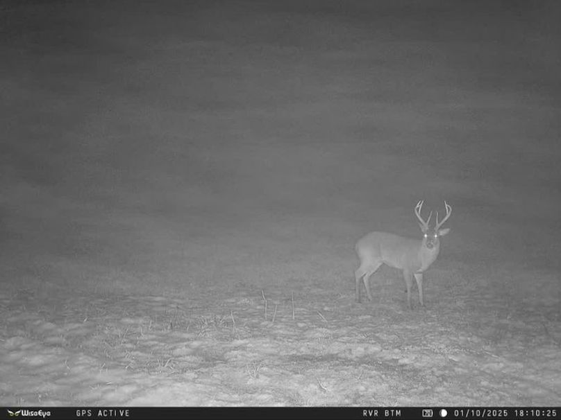 TwinStatesTrailCam28