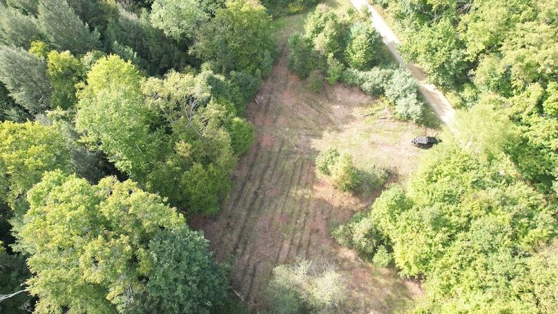 dji_fly_20240909_165346_628_1725915617252_photo