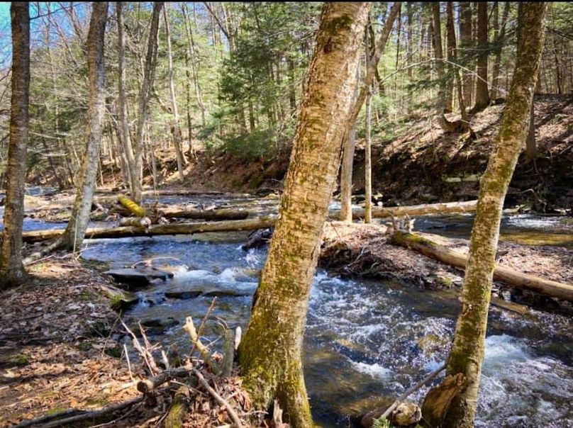 Oswego NY 6.68 Photos 39