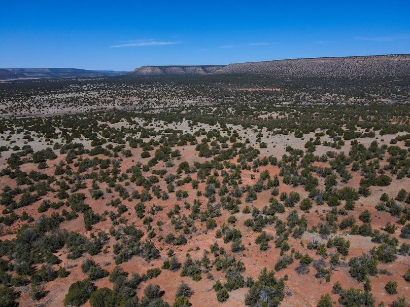 dji_fly_20230407_113112_654_1680888846730_photo