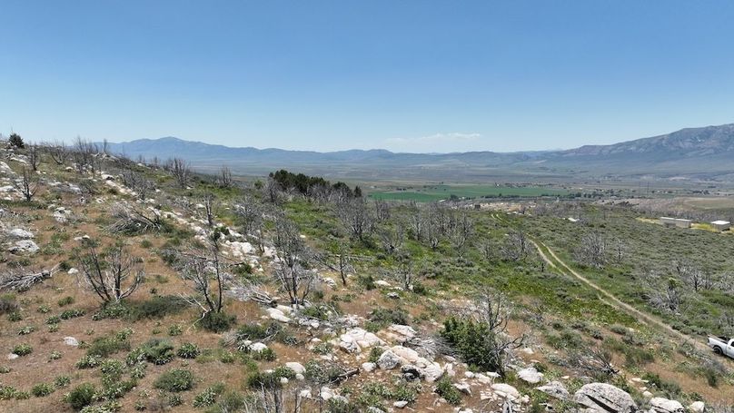 DJI_0440
