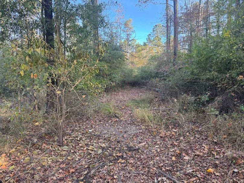 Jeff 11720251111_0198