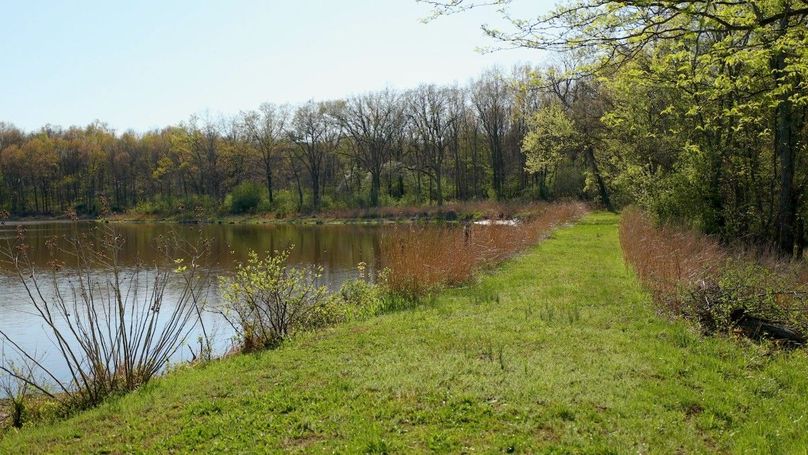 WILLIAMSON, IL 65.00_00_38_18.Still005