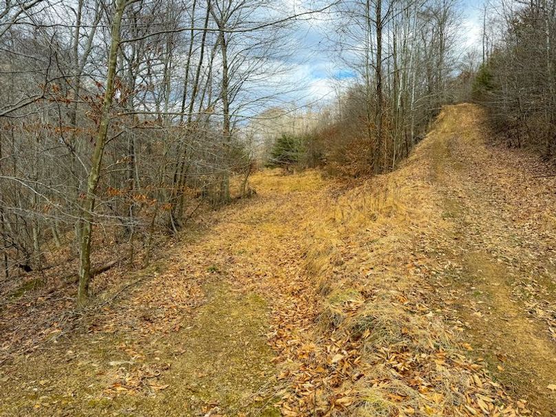 Doddridge, WV 79.08 AC Adams-70