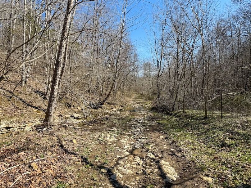 Fleming Petry 115-58