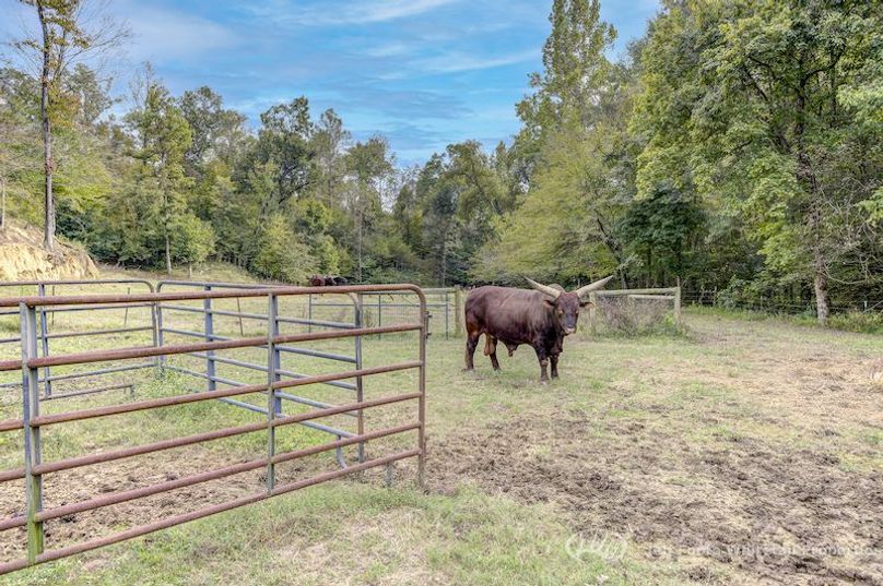 Warren Co - 45.5 - Bockman-63