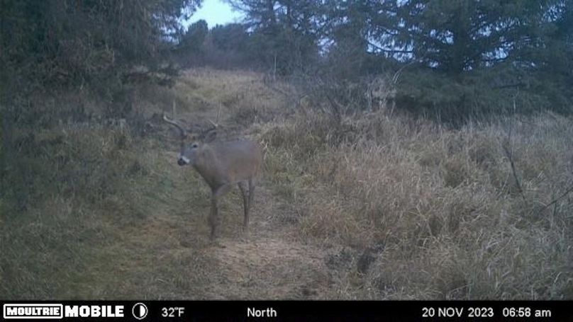 Temp_1082396-20231120125925-102MFCAM-MFDC0469