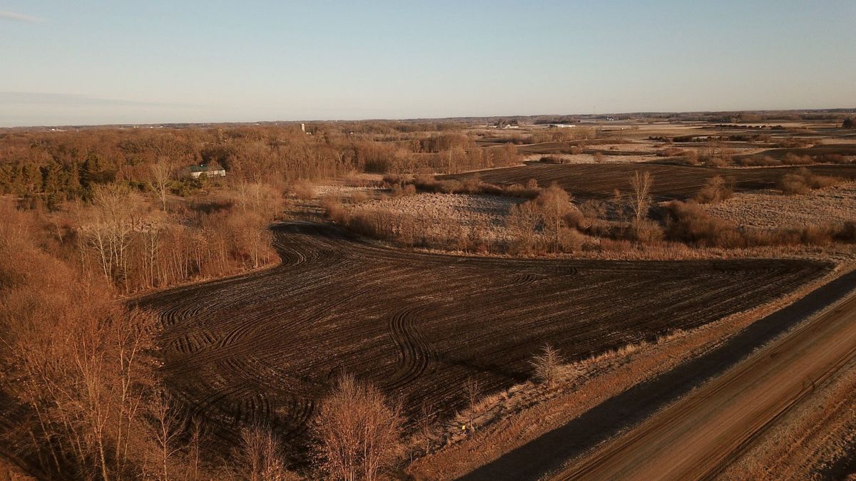 Recreation And Property In The Alexandria Lakes Area Whitetail