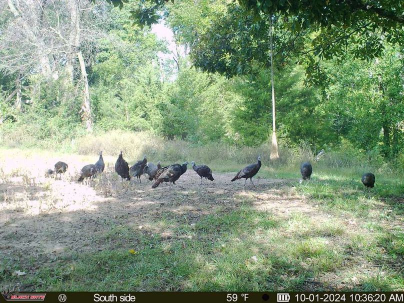 blackgate-media_565726086654658