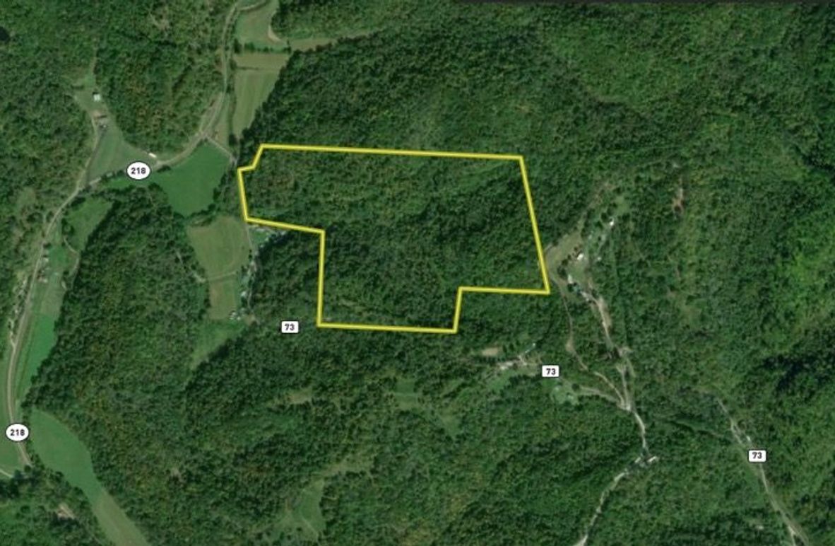 Screen Shot 2025-03-25 at 8.17.58 PM